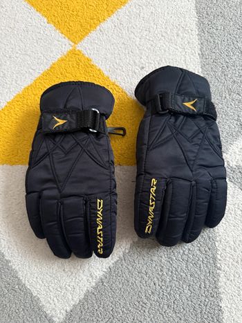 Gants de ski Dynastar Taille 6