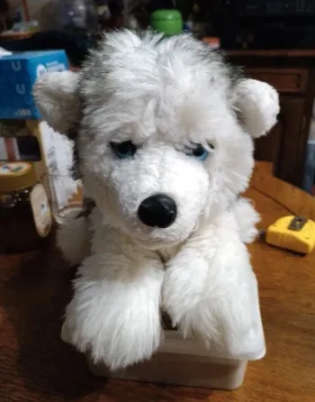 Peluche chiot husky 40 cm