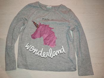 T shirt licorne