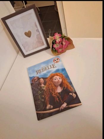 Livre Disney rebelle très bon état