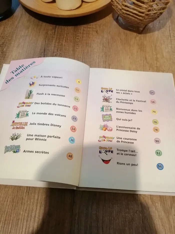 Livre Disney "Mon album 2008" - photo numéro 3