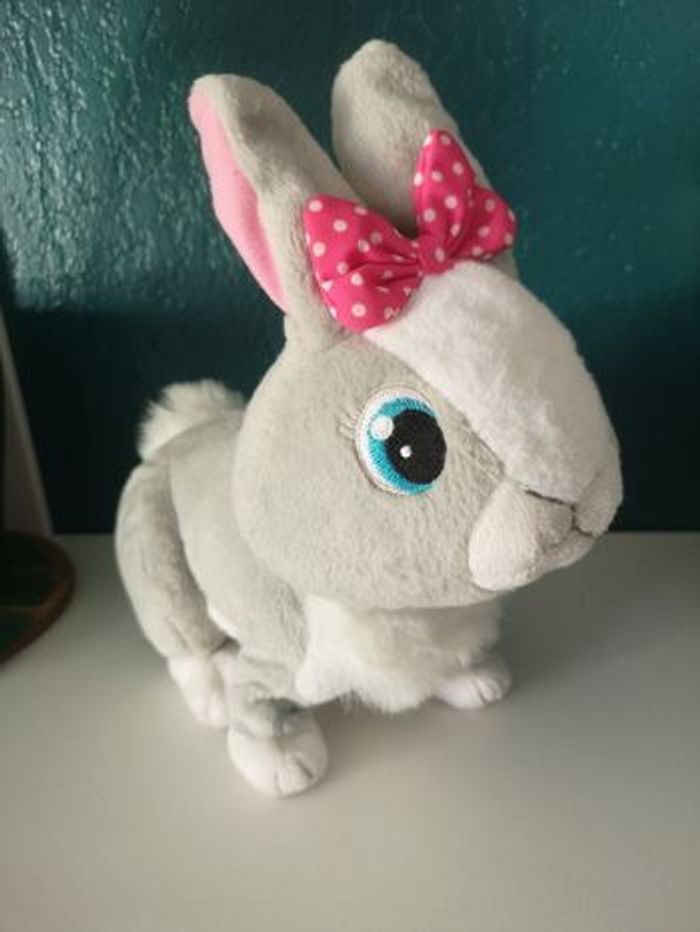 Lapin sauteur - photo numéro 2