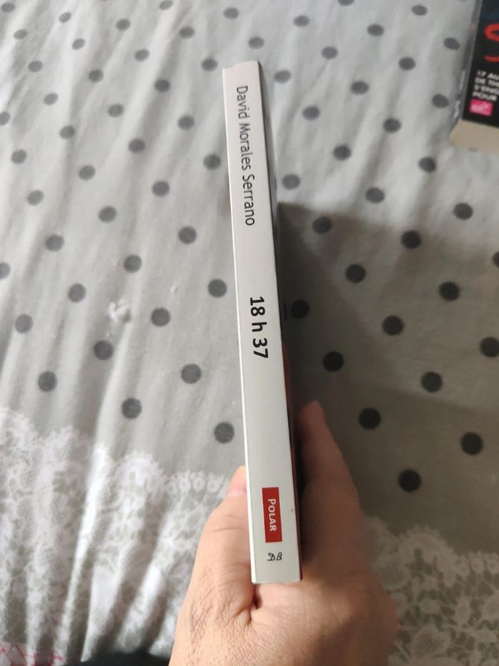 18h37( polar) - photo numéro 3