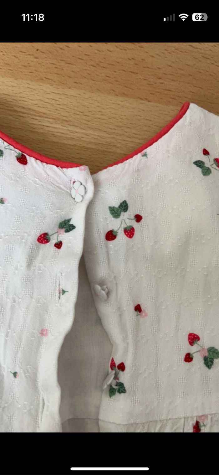 Barboteuse sergent major - photo numéro 3