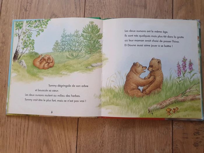 Le petit ours et Perdus dans la forêt - photo numéro 3