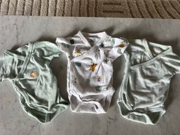 Lot 3 bodies