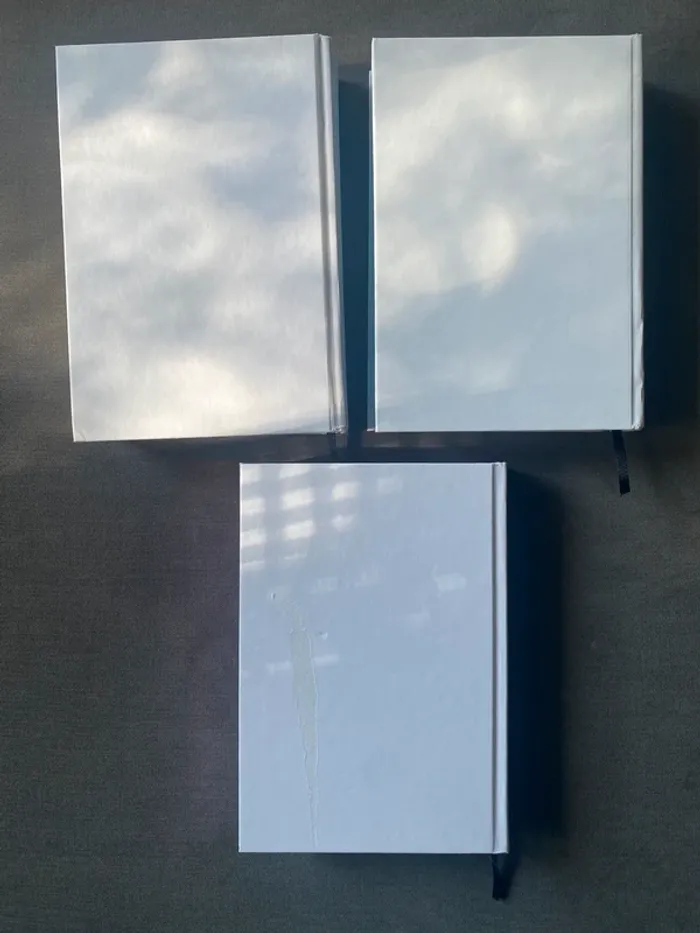 Trilogie le prince cruel holly black collector - photo numéro 4