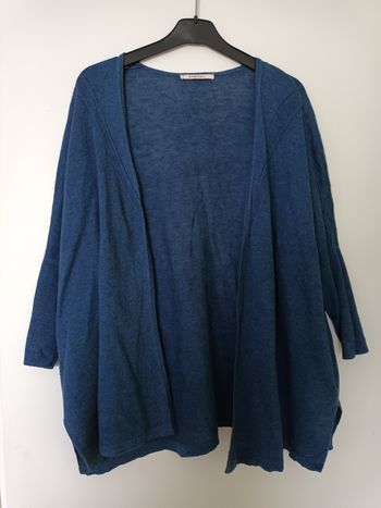 Gilet bleu