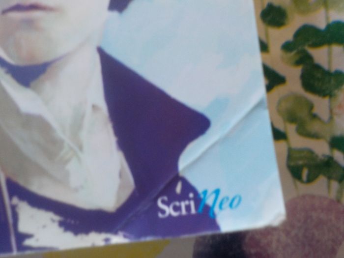 UN ADO NOMME RIMBAUD de Sophie DOUDET Ed. Scrinéo - photo numéro 2