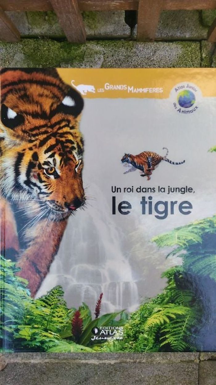 trés beaux livres illustrés
