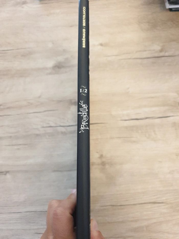 Bande dessinée Brindille - photo numéro 2