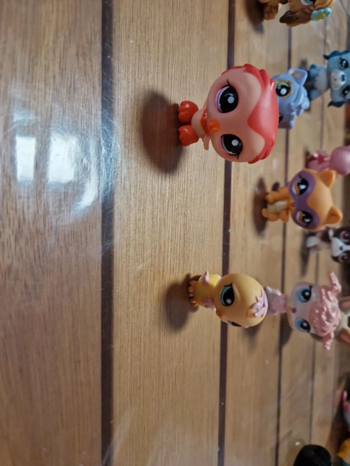 Lot Petshop (1) - photo numéro 2