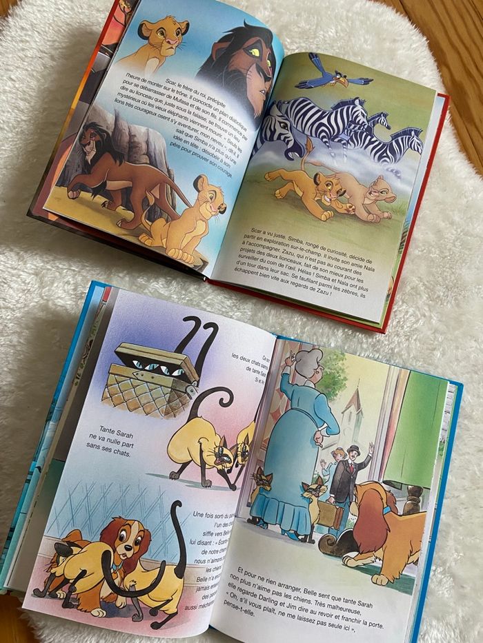 Lot de 2 livres Disney - photo numéro 3
