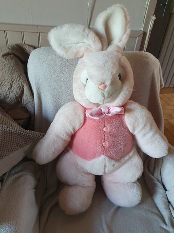 Peluche  lapin 🐰
