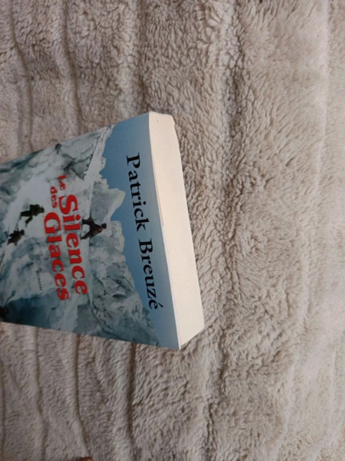 Le silence des glaces  de Patrick Breuzé - photo numéro 6