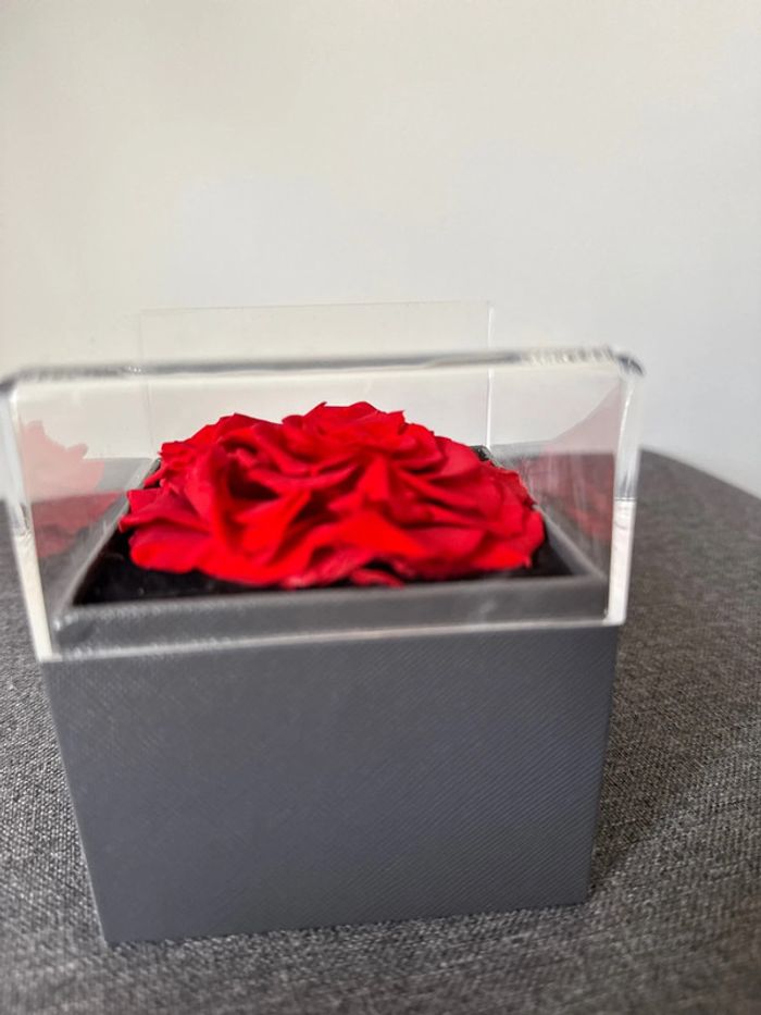 🌹💍 coffret véritable rose + collier cœur - très bon état - Allomn - photo numéro 5