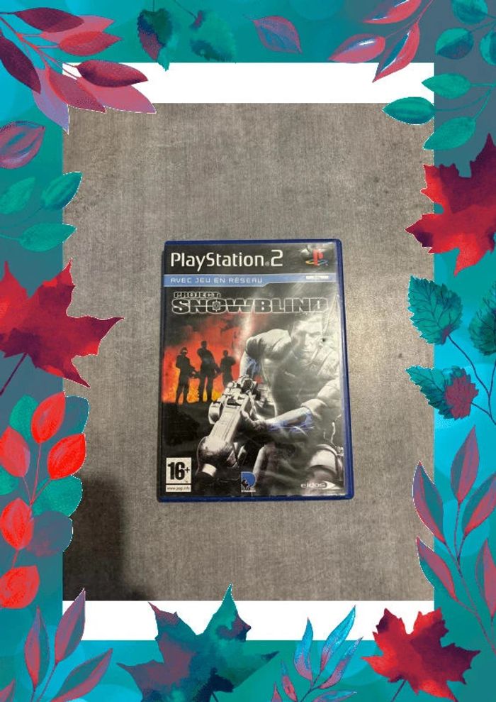 Jeux PlayStation 2 project snowblind - photo numéro 1