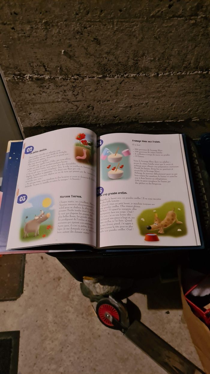 Livre pour enfants - photo numéro 2