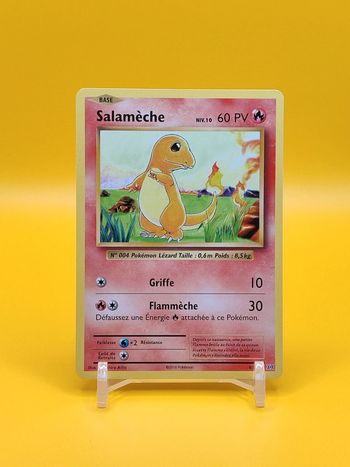 Pokémon Salamèche bloc XY extension évolutions