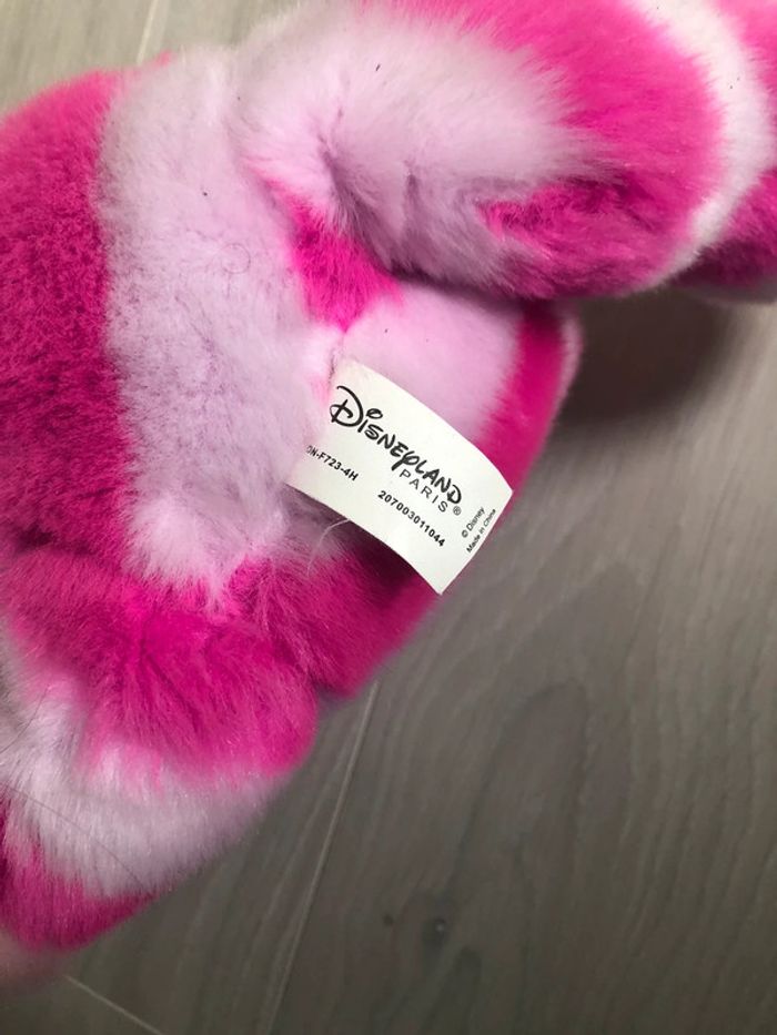 Chat du Cheshire - photo numéro 4