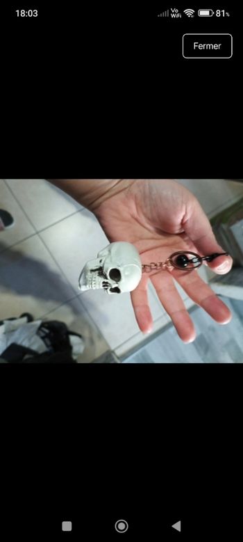 Porte clé tête de mort 