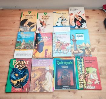 📚 Lot de 12 livres pour enfants 📚