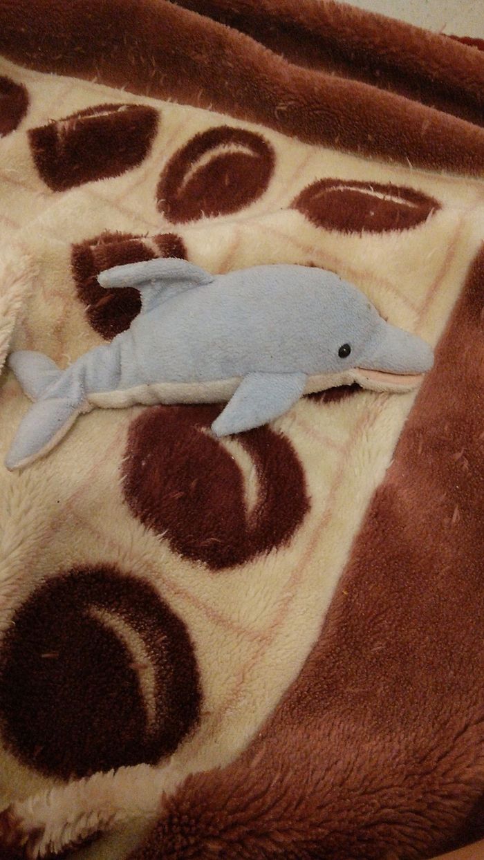 Peluche