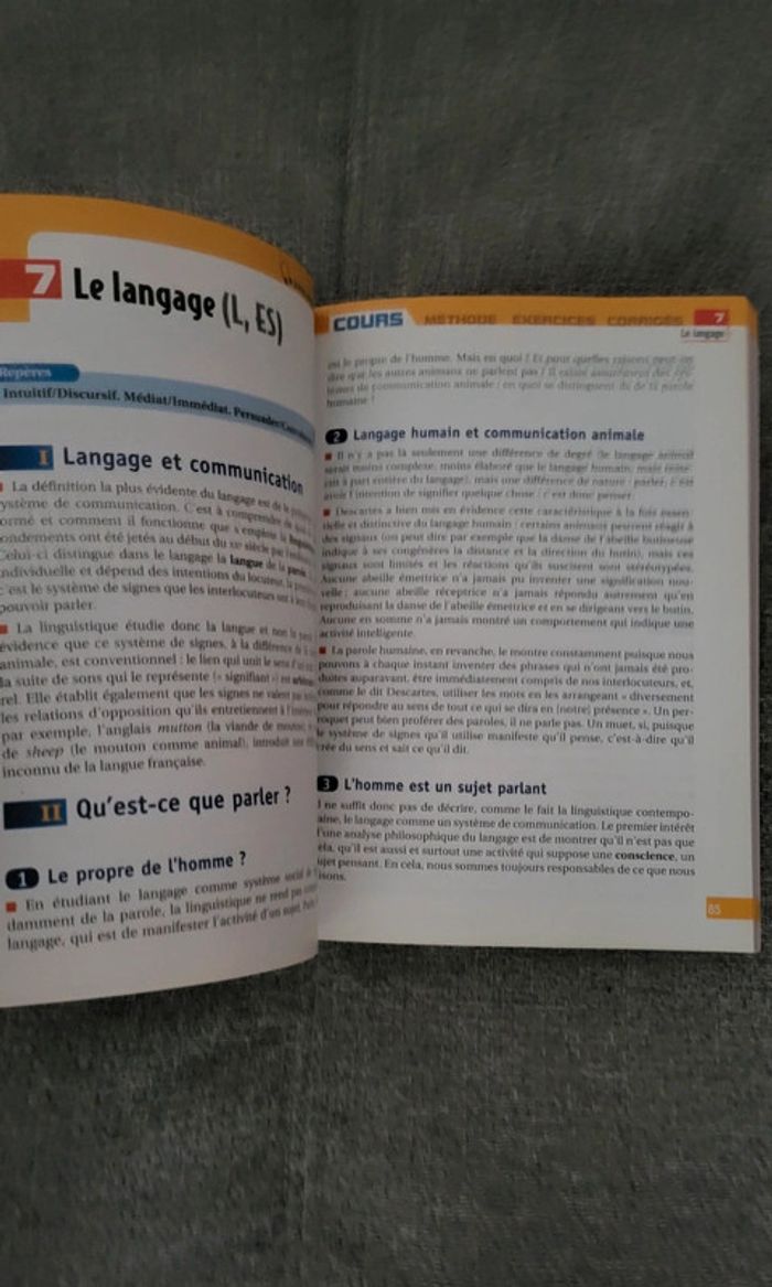 🟣 Prépabac Philosophie Bac ES 🟣 - photo numéro 7
