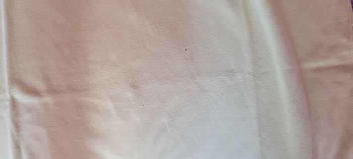 Tee-shirt - photo numéro 6