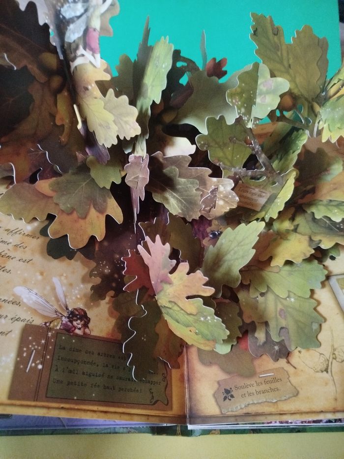 Pop-up à la recherche des fées et des fleurs - photo numéro 2