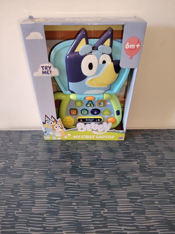 Ordinateur bluey