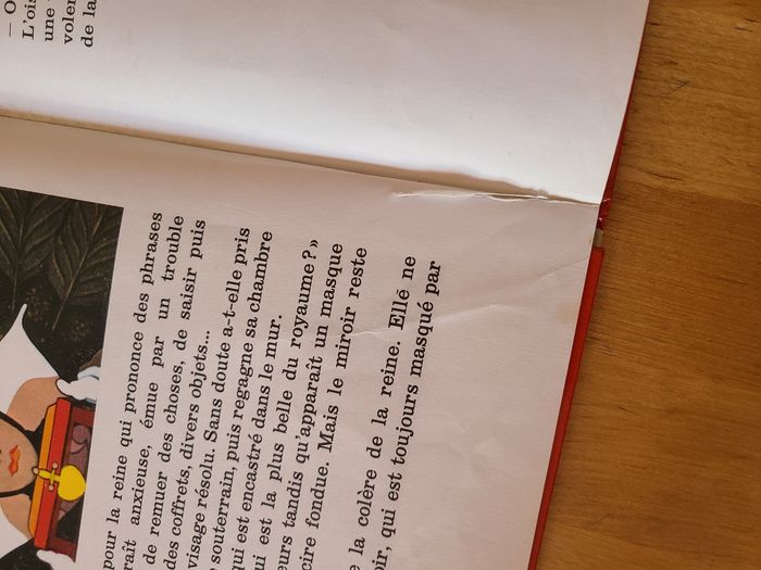 Blanche neige et les 7 nains - photo numéro 7