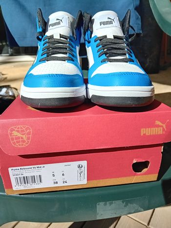 Puma 