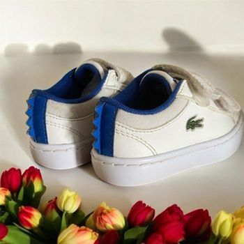 Basket Lacoste