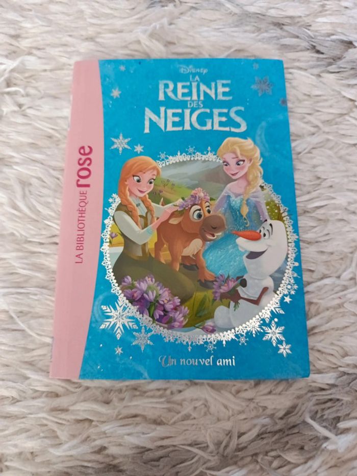 Lot de 2 livres bibliothèque Rose - photo numéro 2