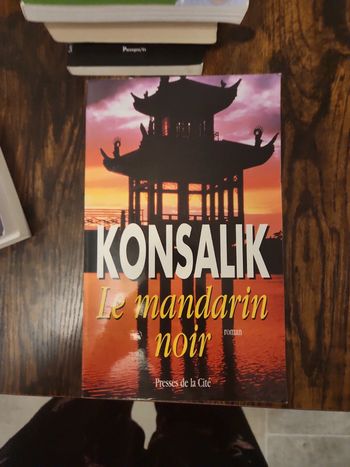 Livre : Le mandarin noir