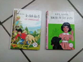 Lot 2 livres bibliothèque rose