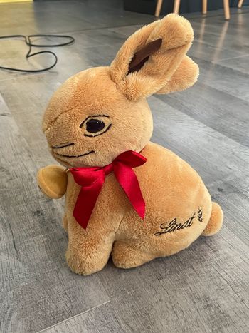 Lapin lindt