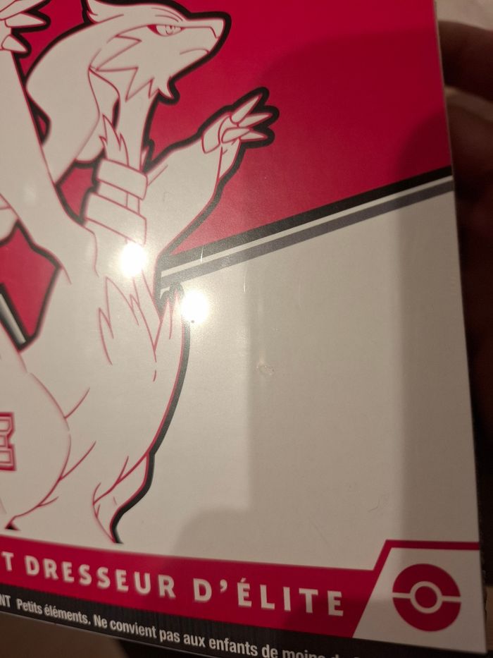 Etb flamme blanche - photo numéro 4