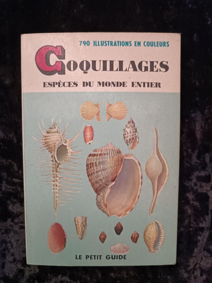 Petit guide coquillages