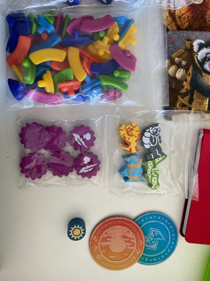 Lands Of Galzyr avec l’Extension - photo numéro 8