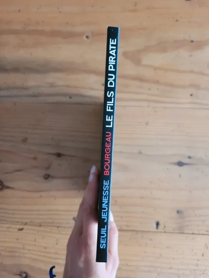 Livre Le fils du Pirate - photo numéro 2