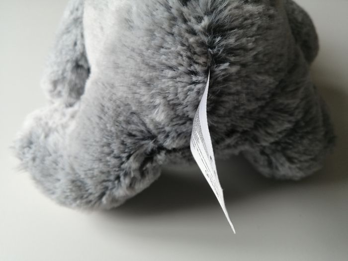 peluche ours - photo numéro 5