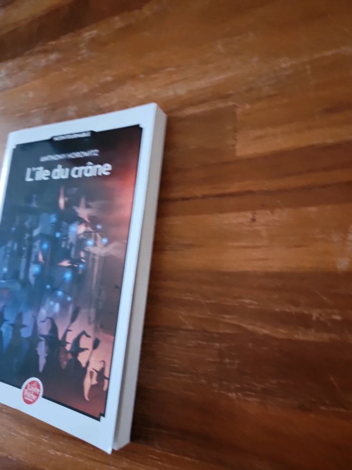 Livre enfant : l'île du crane - photo numéro 3