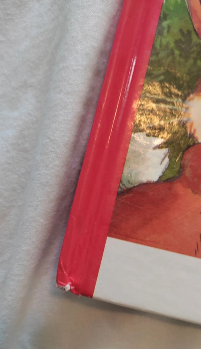 Livre pour enfants Bonne idée Waldo. - photo numéro 3