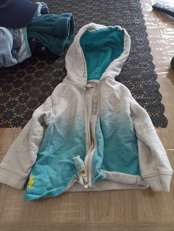 Veste a capuche