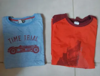 Lot de 2 tee-shirts