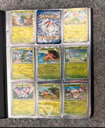 Lot De Cartes Pokémon Flammes Obsidiennes EV3 ( OBF ) Début De Set