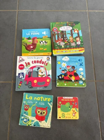 Lot livres musicaux