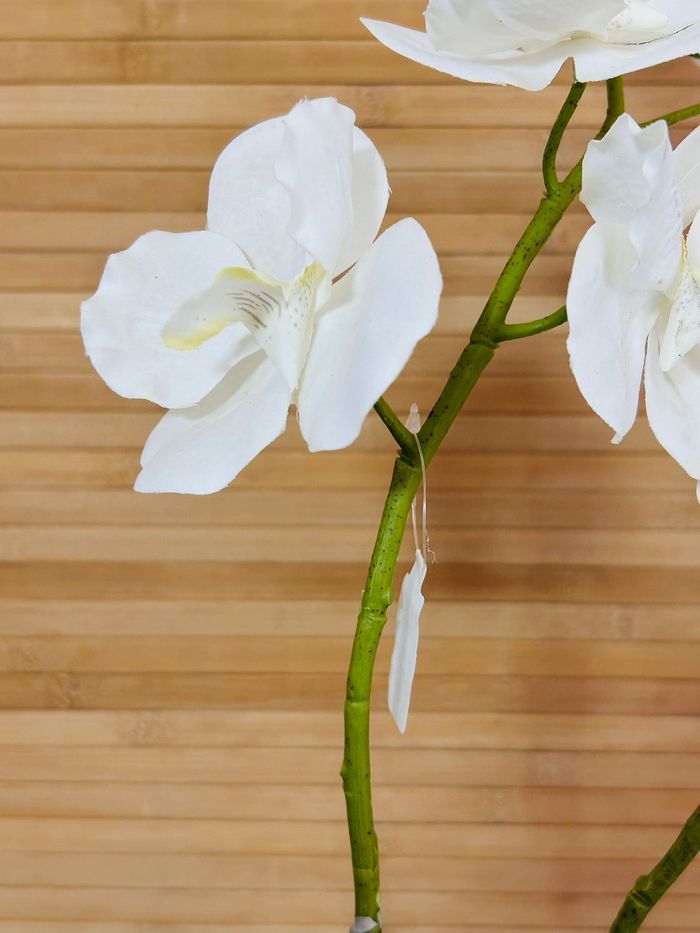 Orchidée artificielle de 60cm avec 2 branches - photo numéro 3